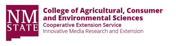 NM logo